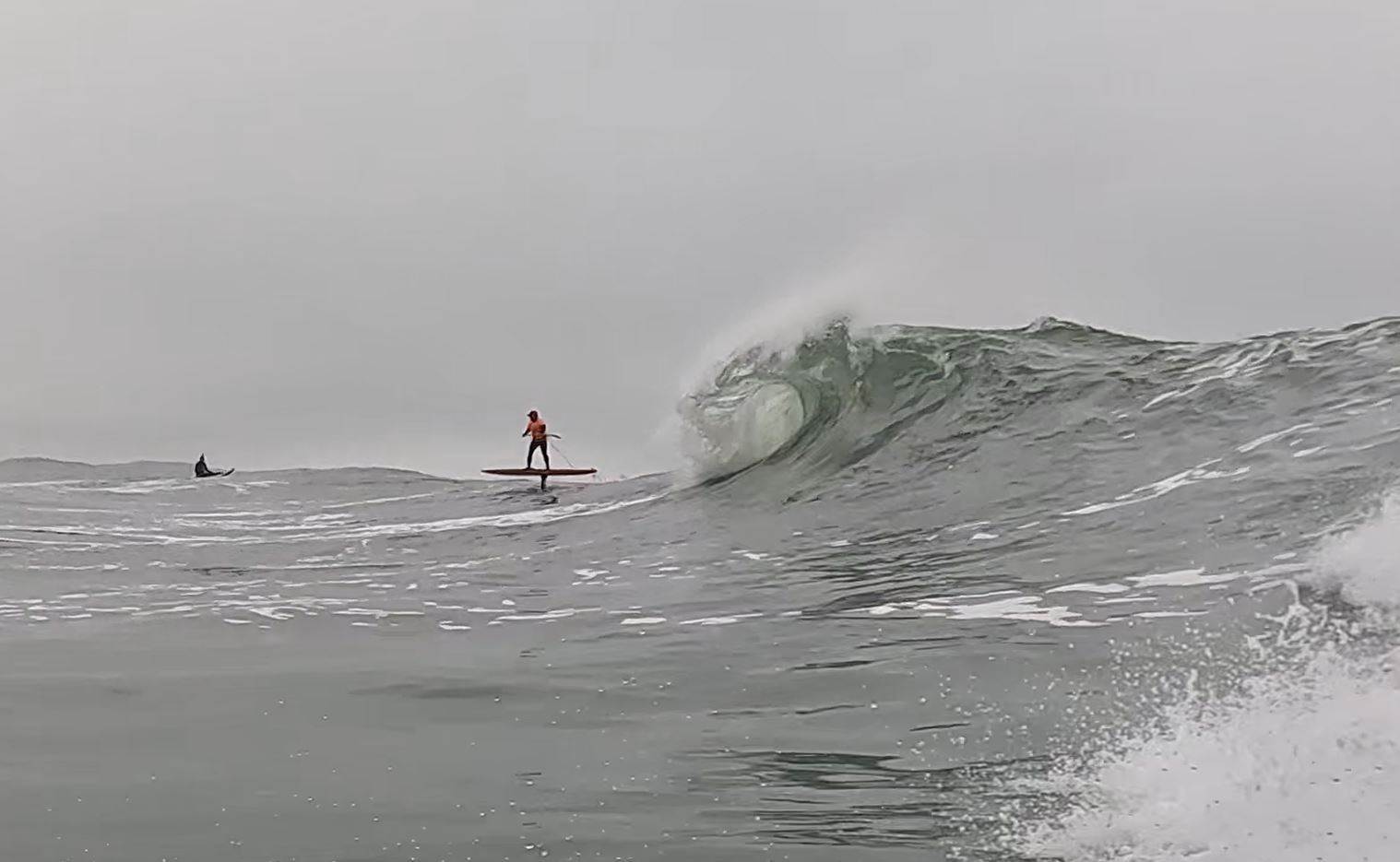 20250222 Mushroom Drop Denton