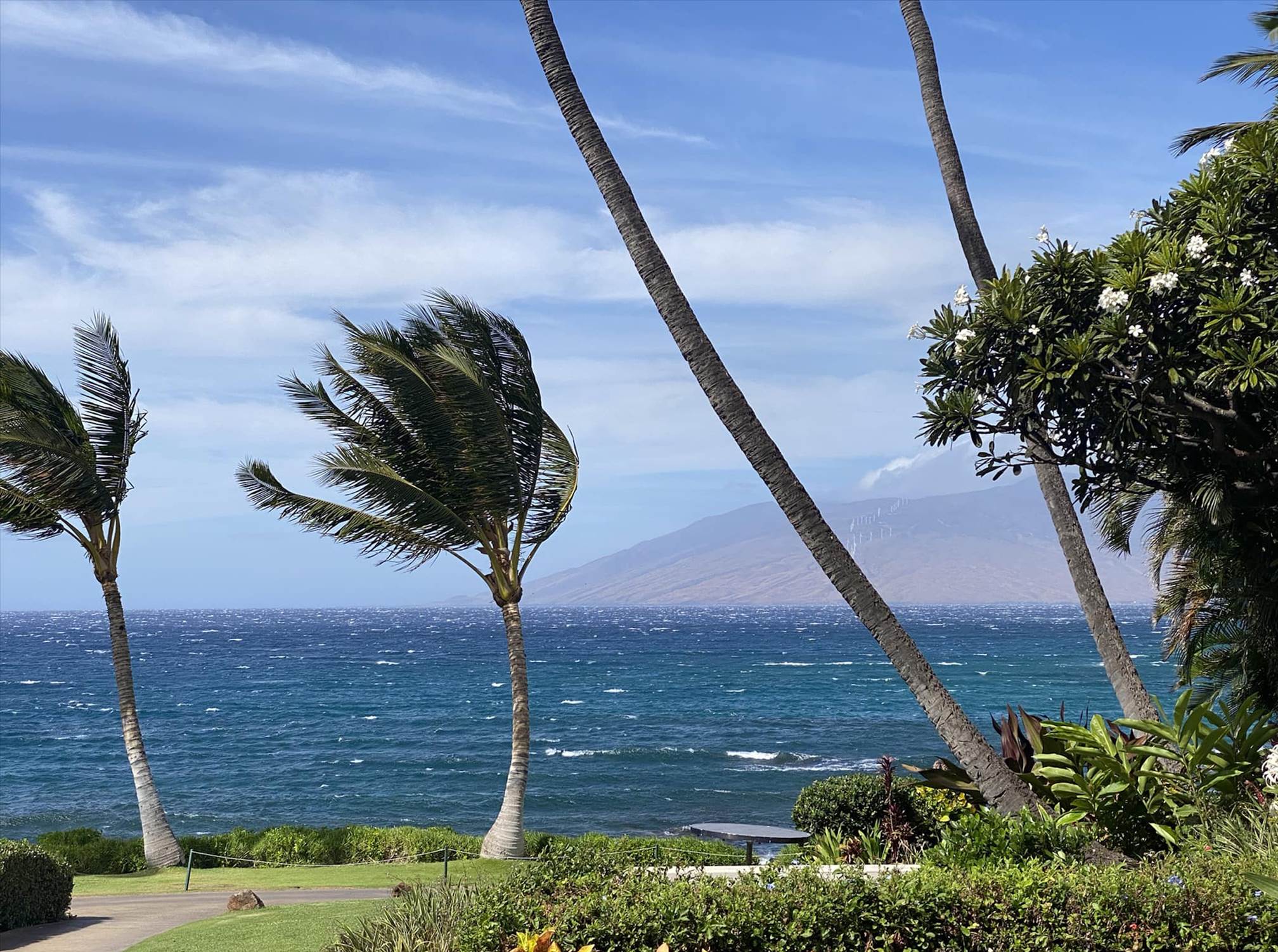 Screenshot 2025-07-18 at 4.37.07?pm