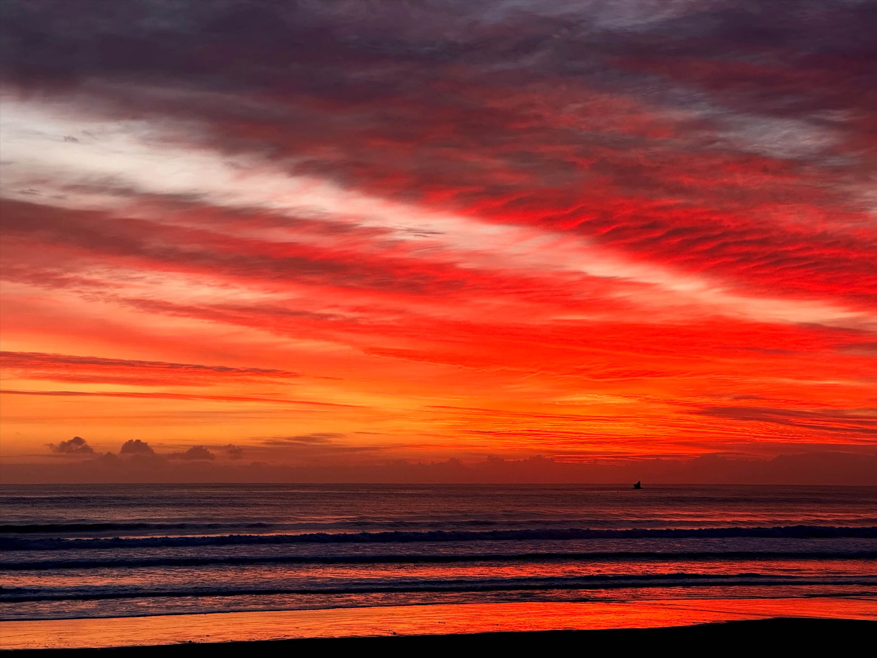 42nd Birthday pumping East Coast NZ - 3 amazing days