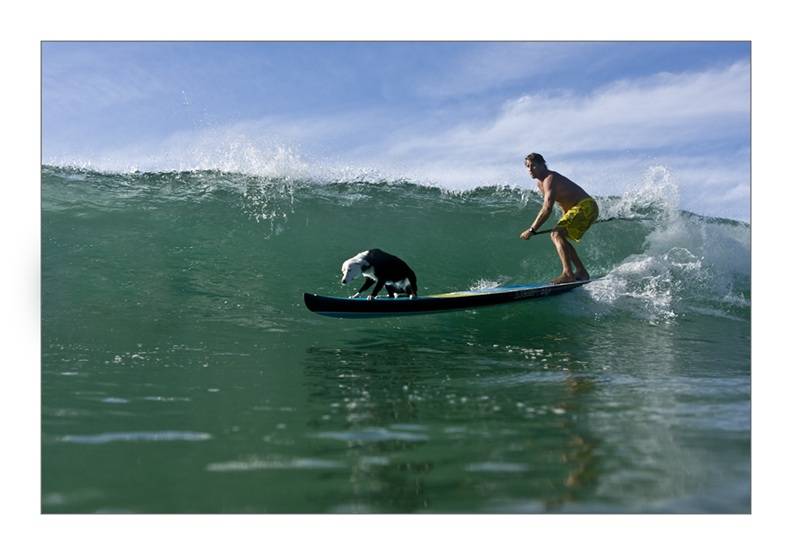  Q2Q8903Chris  Lani  8 -1