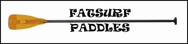 werner stand up paddles carve