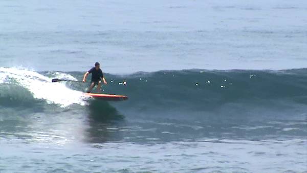 michael paddletrainer 600