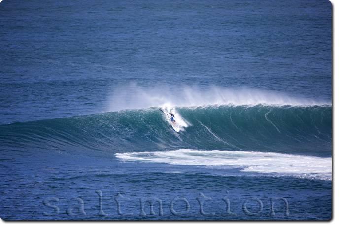 queenscliff bombie25409