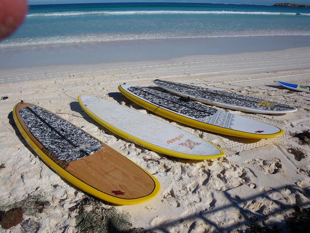 Wedge Island SUP Demo
