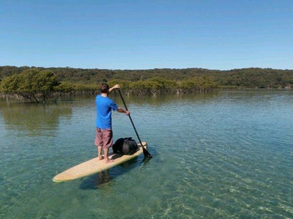 Treehouse Paddle Camper SUP