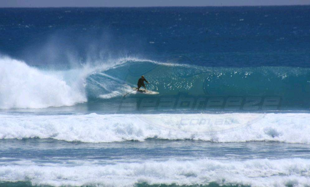 Stand Up Paddle (SUP)