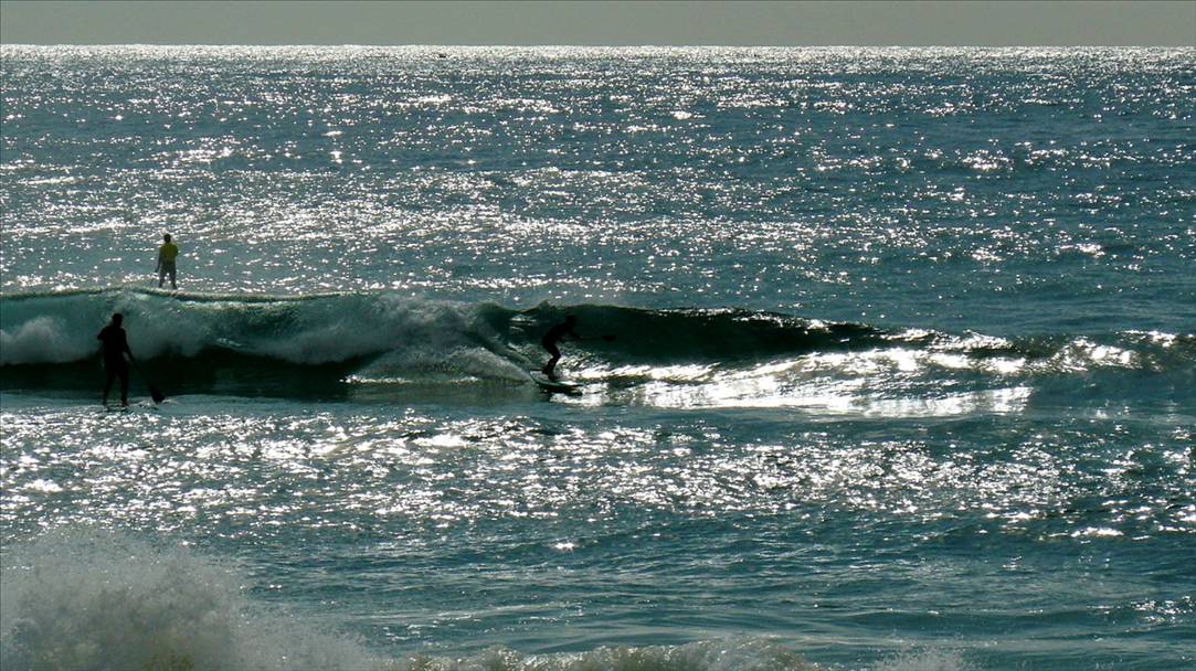 SPSC Palm Beach event