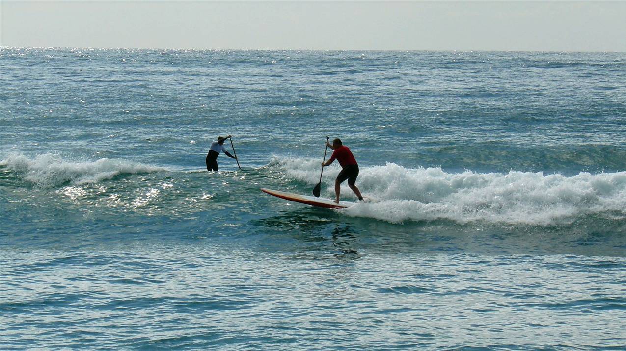 SPSC Palm Beach event