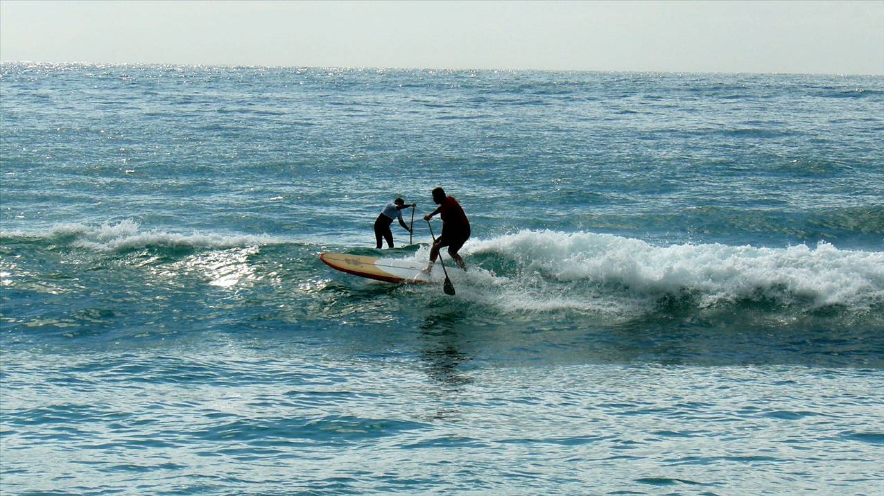 SPSC Palm Beach event