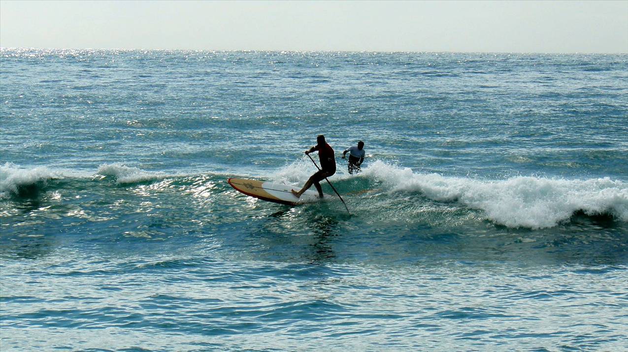 SPSC Palm Beach event