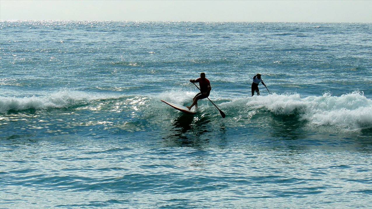 SPSC Palm Beach event