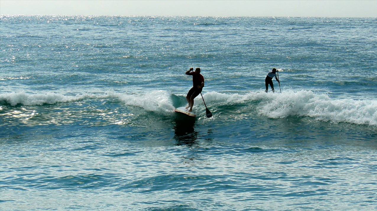 SPSC Palm Beach event