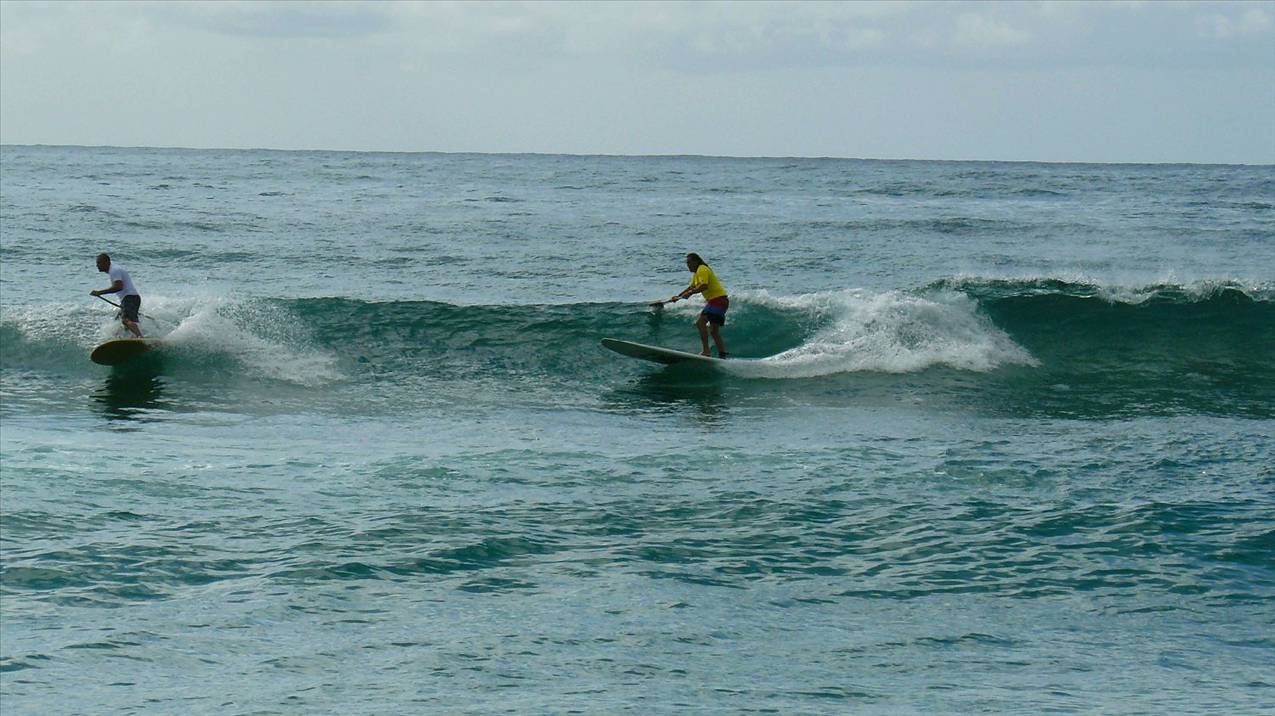 SPSC Palm Beach event