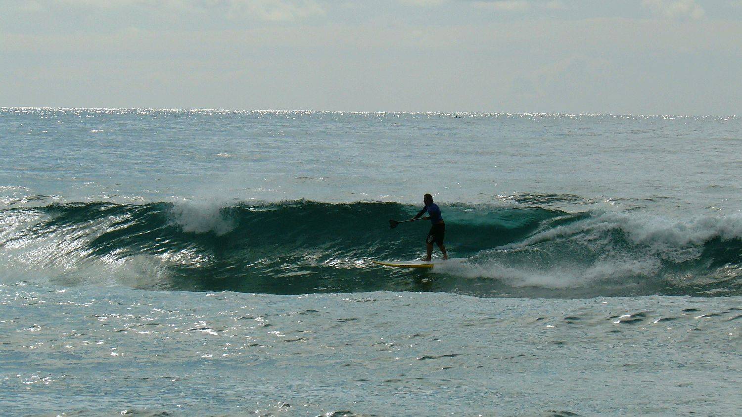 SPSC Palm Beach event