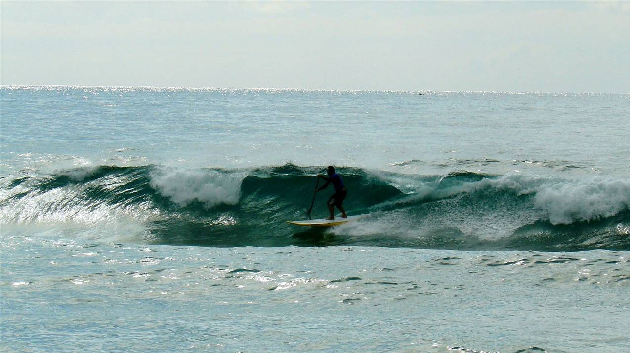 SPSC Palm Beach event