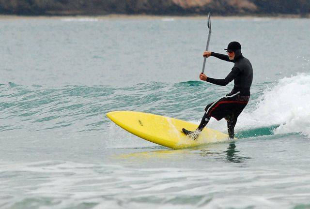 Sparrow Rippin Resize