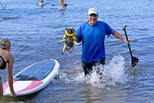 9022 156906886452 156868971452 2786652 7740933 n