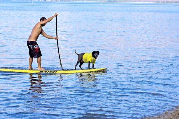 9022 156907216452 156868971452 2786700 3414557 n