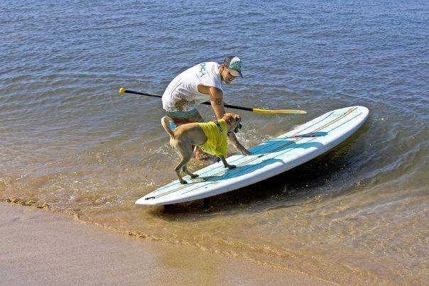 9022 156906676452 156868971452 2786617 1923650 n