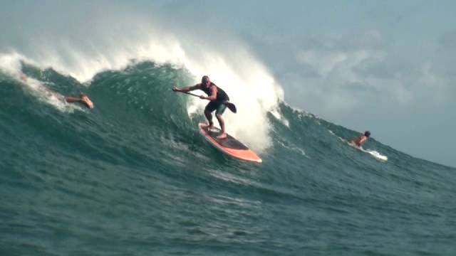 Queensland SUP on North Shore HAWAII