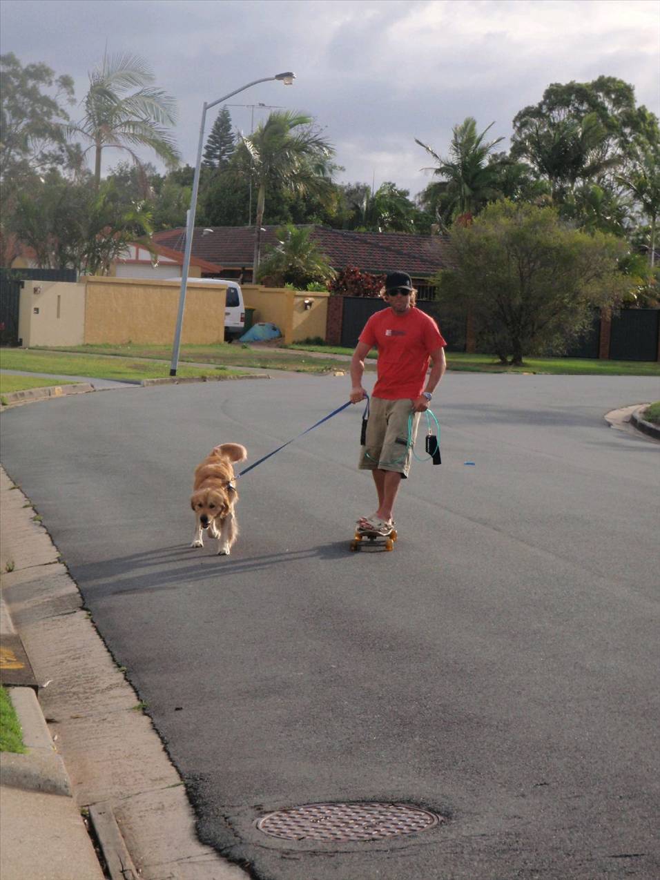 Gota Get A Big Stick