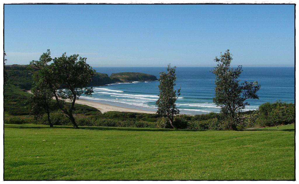 3566397110 0f8625333a b