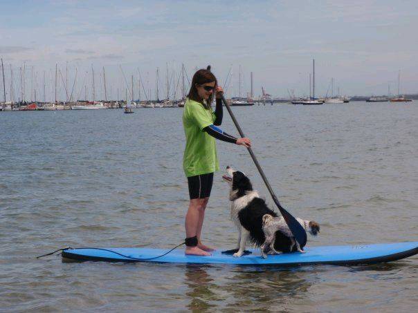 18035 259536559304 160978634304 4344455 3867026 n