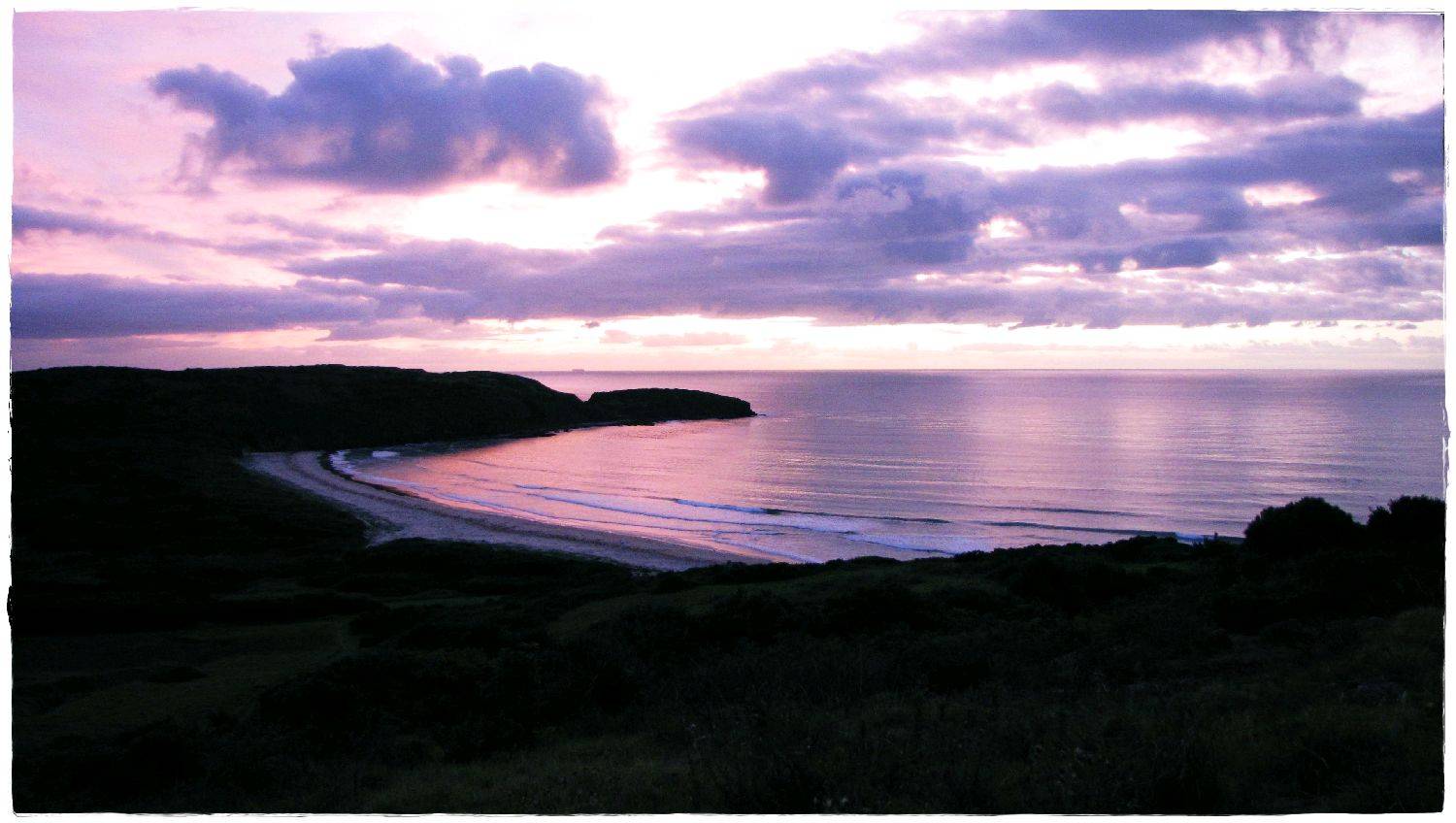 The Farm 31st December 2009 002