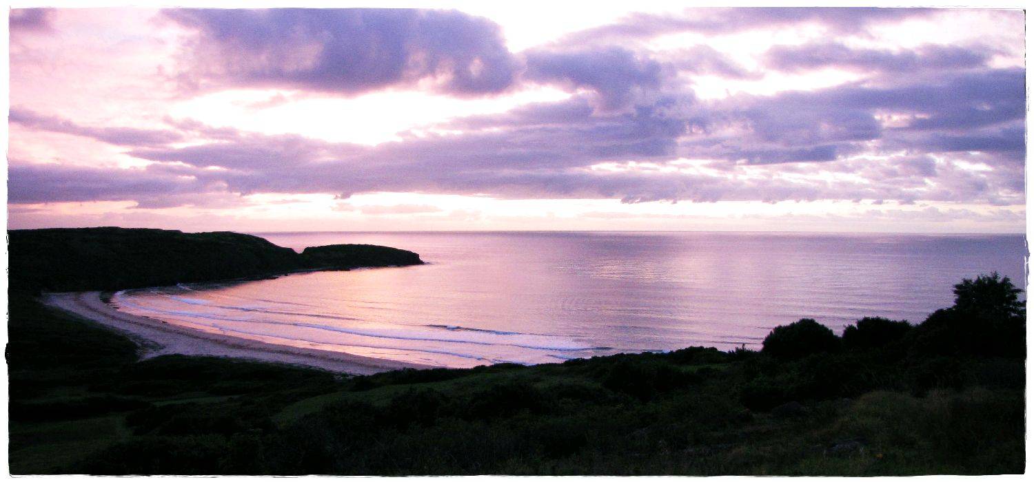 The Farm 31st December 2009 010