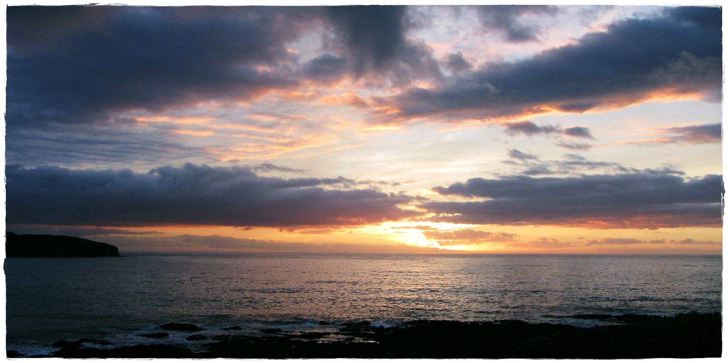 The Farm 31st December 2009 013