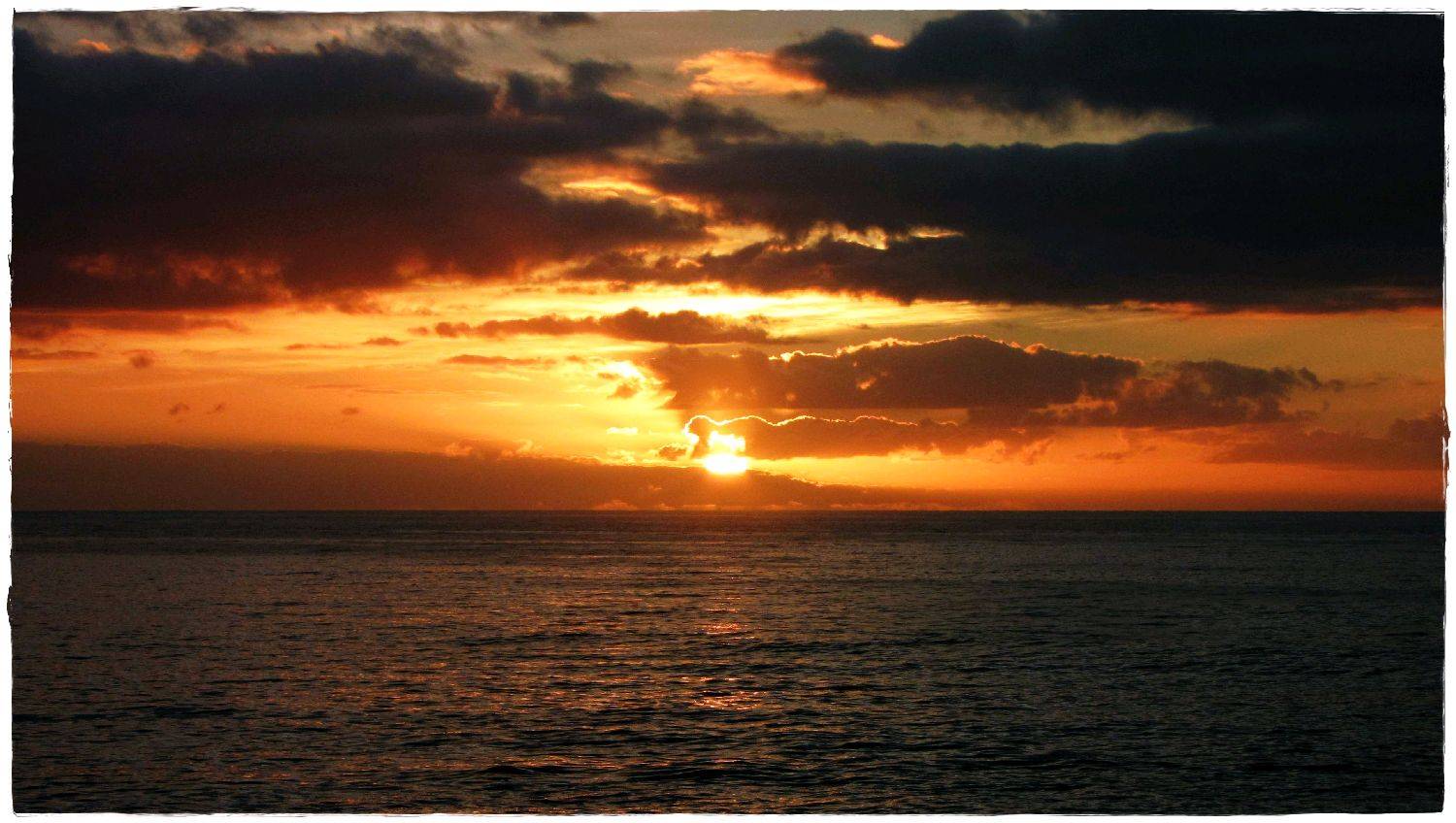 The Farm 31st December 2009 016