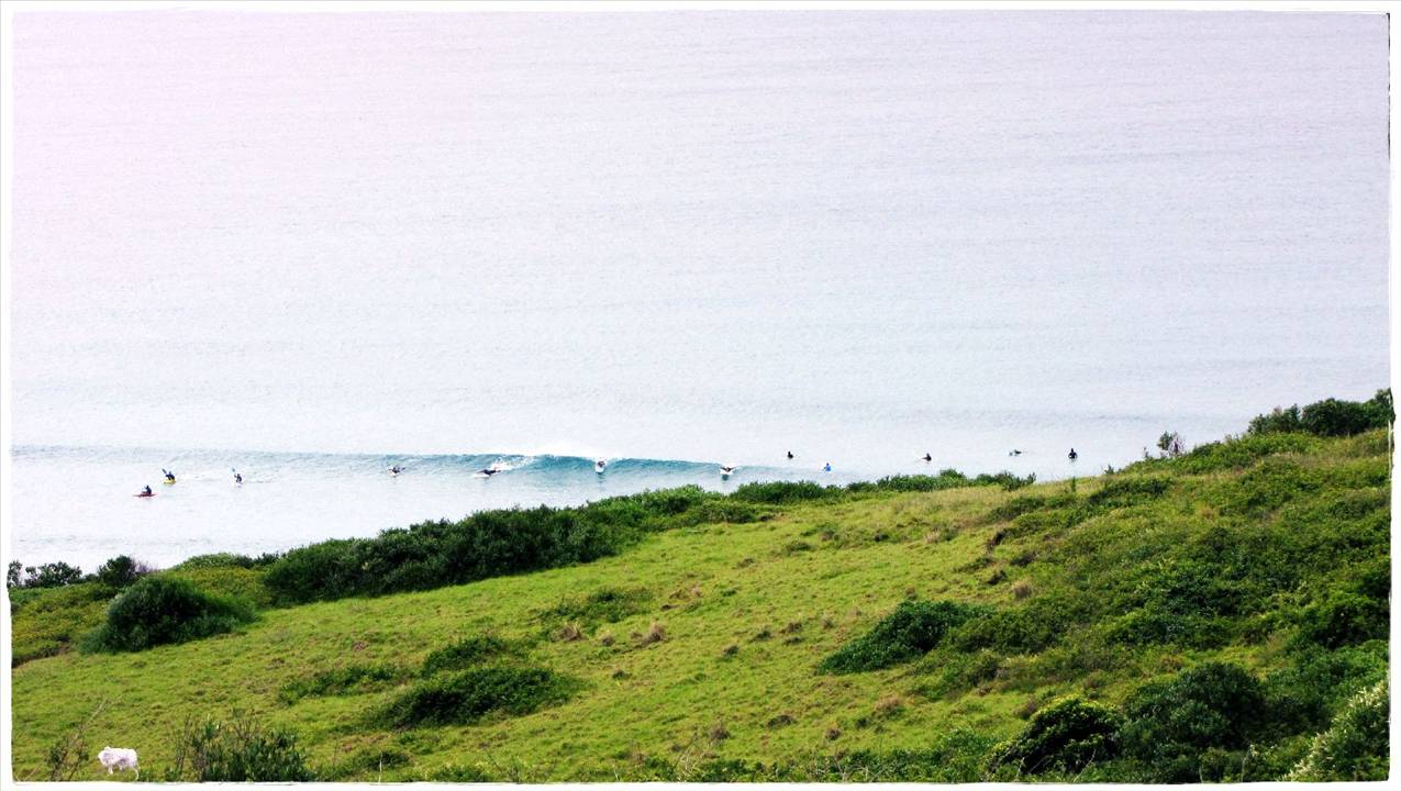 The Farm 31st December 2009 018