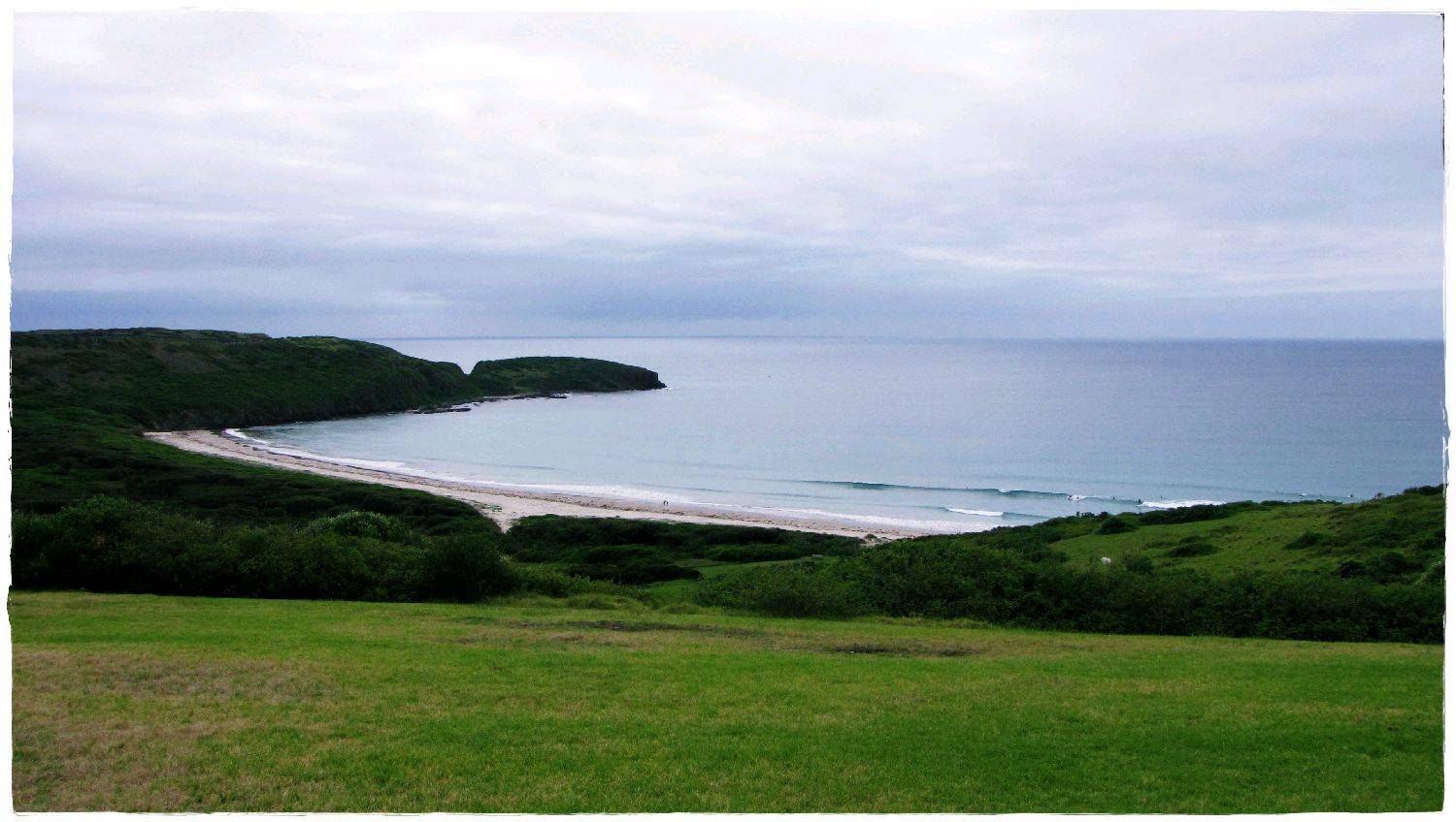 The Farm 31st December 2009 019