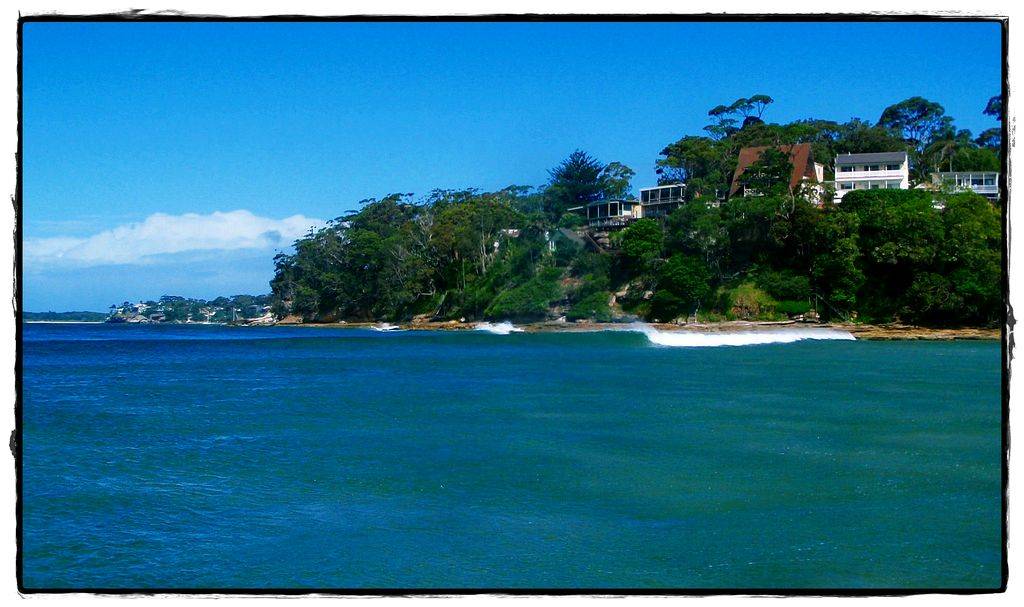 4149989804 bd255978b2 b