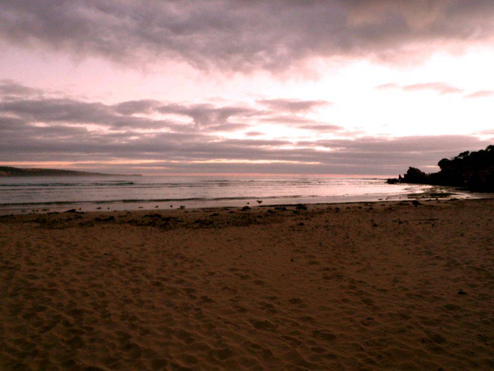 Early January Morning