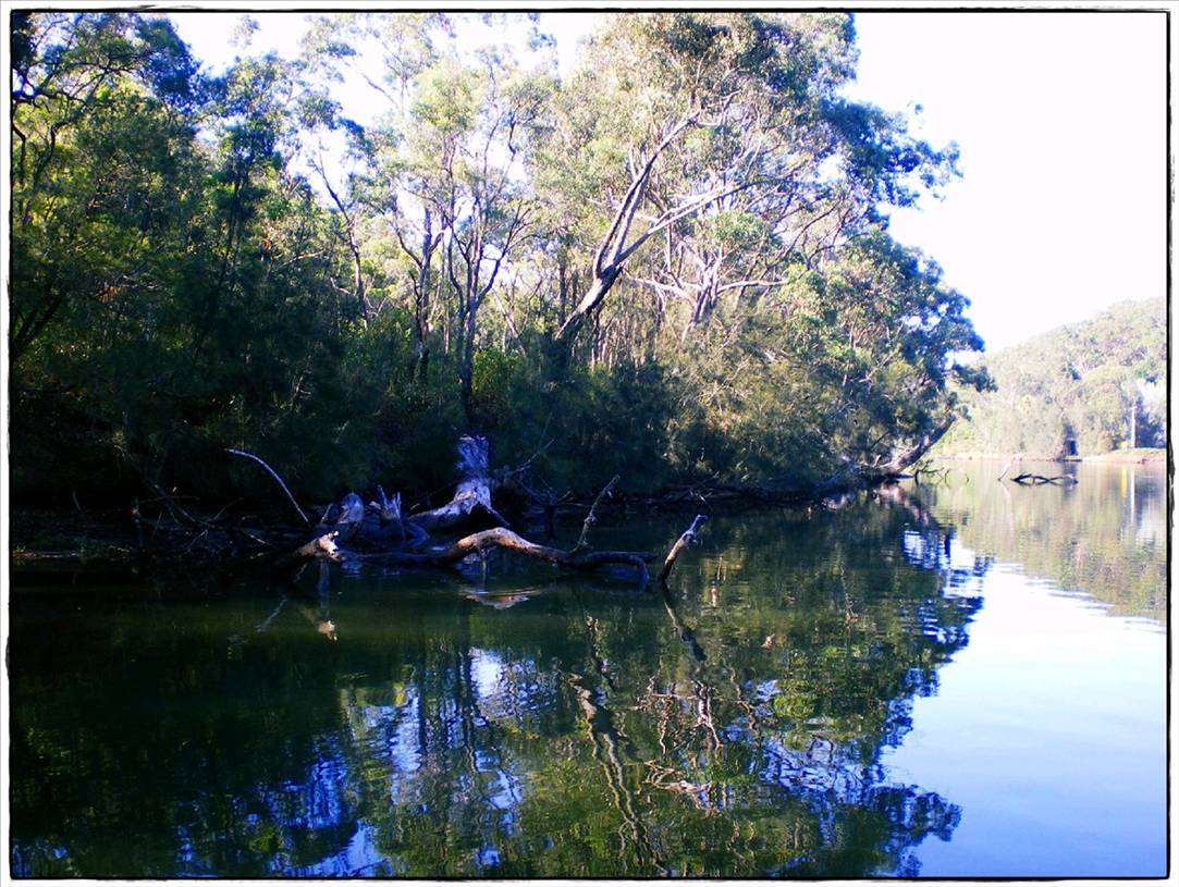 Woronora River 023