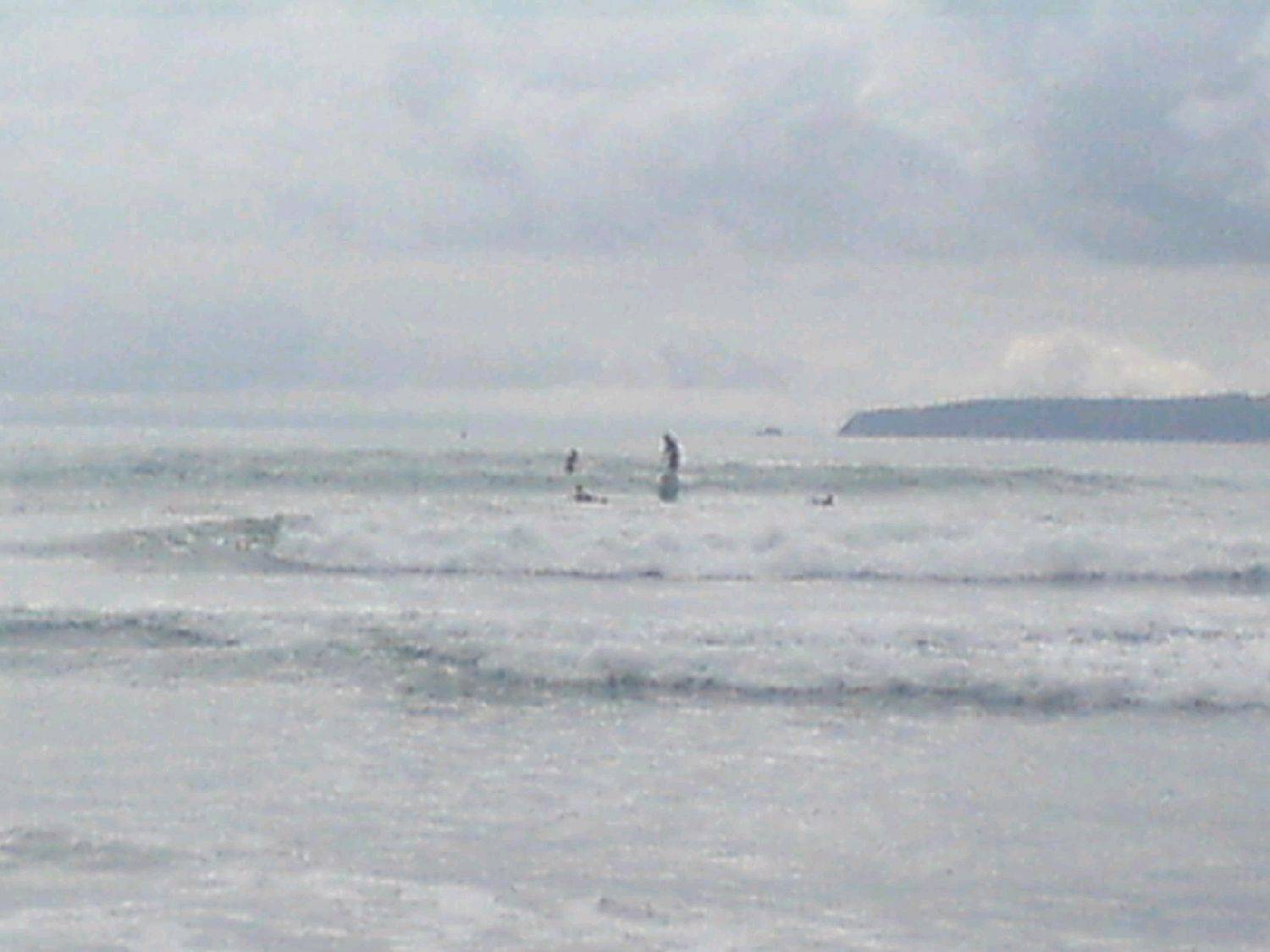 pictures  SUP Jan 2010 001