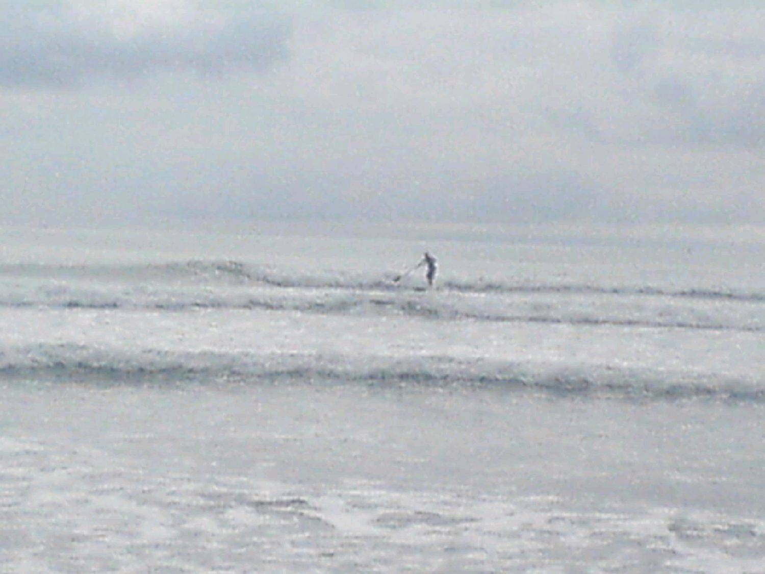 pictures  SUP Jan 2010 002