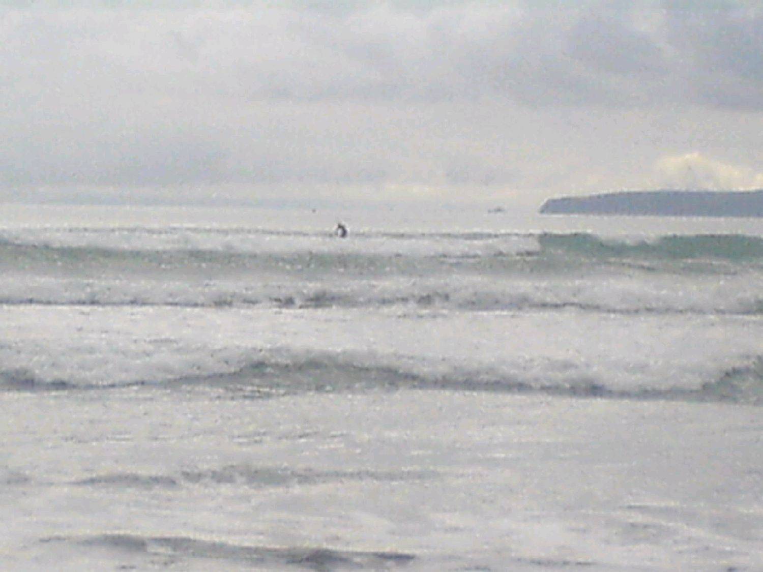 pictures  SUP Jan 2010 010