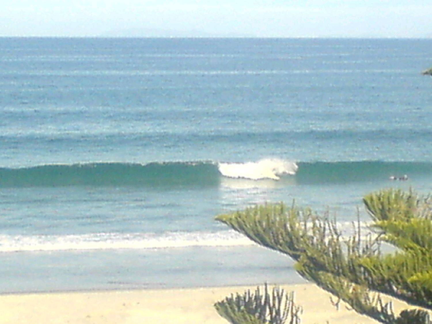 pictures  SUP Jan 2010 007