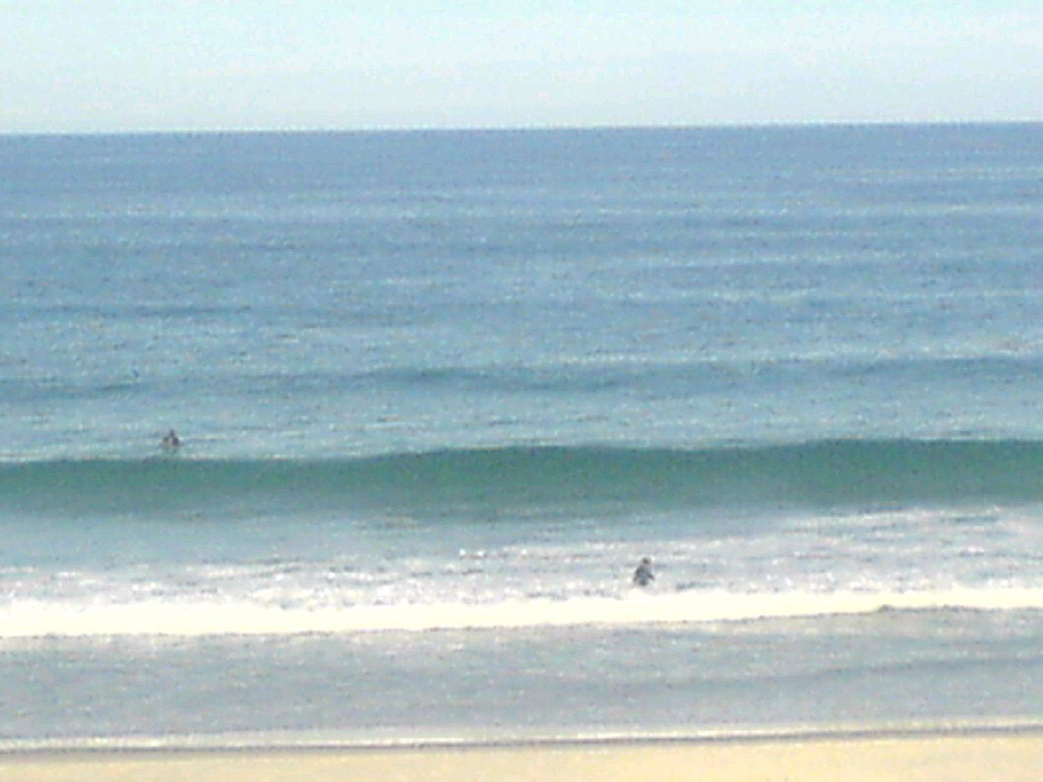 pictures  SUP Jan 2010 009