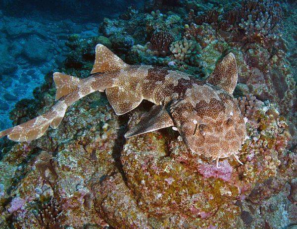 2838336090100390769S600x600Q85