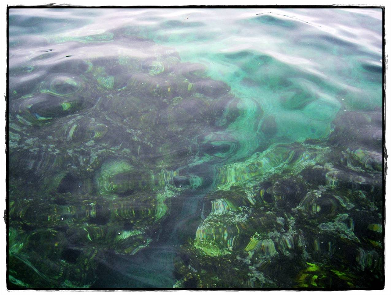 Port Hacking Paddle 071