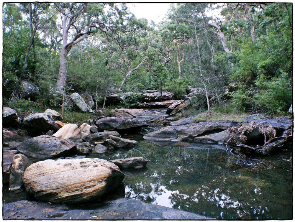 Audley Dawn Session 025