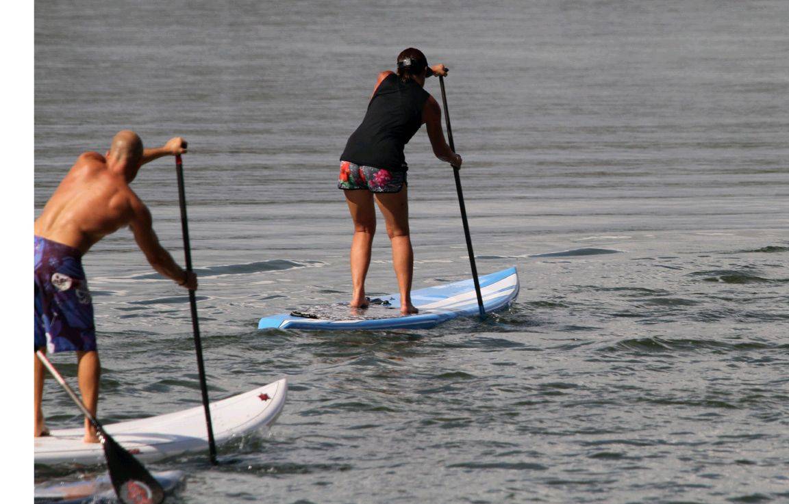 DC 17' (March 2010 Model)