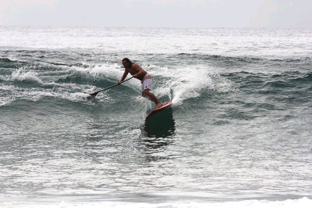 Palmy 3rd April 2010