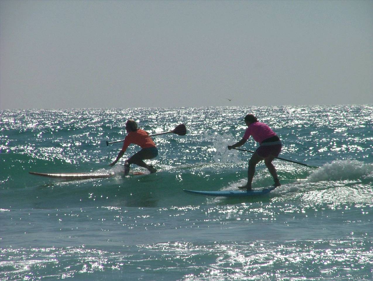 sup comp April 10 ,2010 071