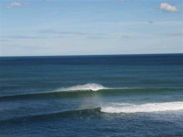 PT ADDIS 008 (Small)