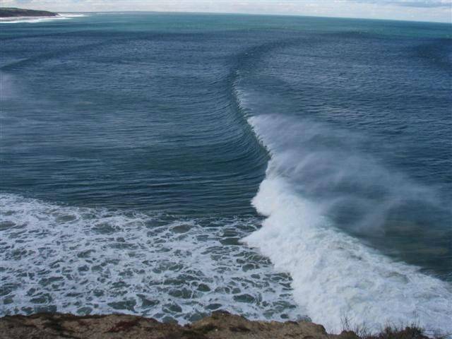 PT ADDIS 009 (Small)