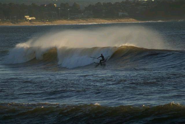casso and dan paddle boarding